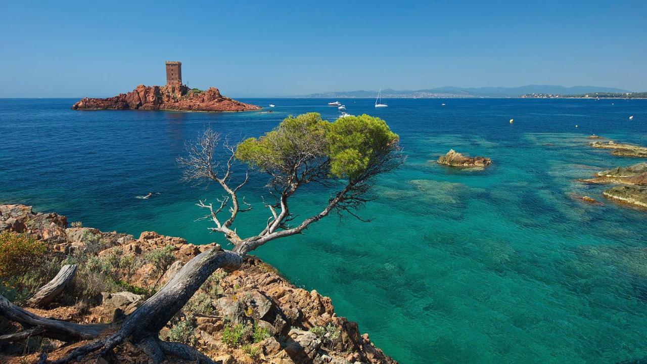 Appartement Frejus 5 Min De La Plage, 1 Min Centre Ville エクステリア 写真